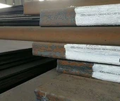 NM 450 צלחת ללבוש